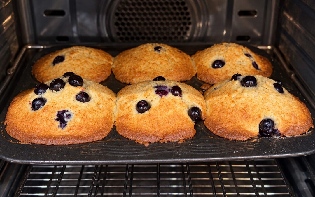 Jumbo Blueberry Muffins