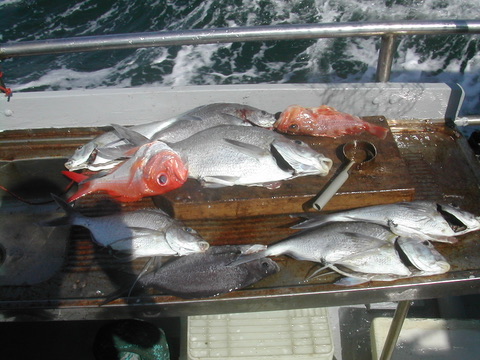 A catch on board