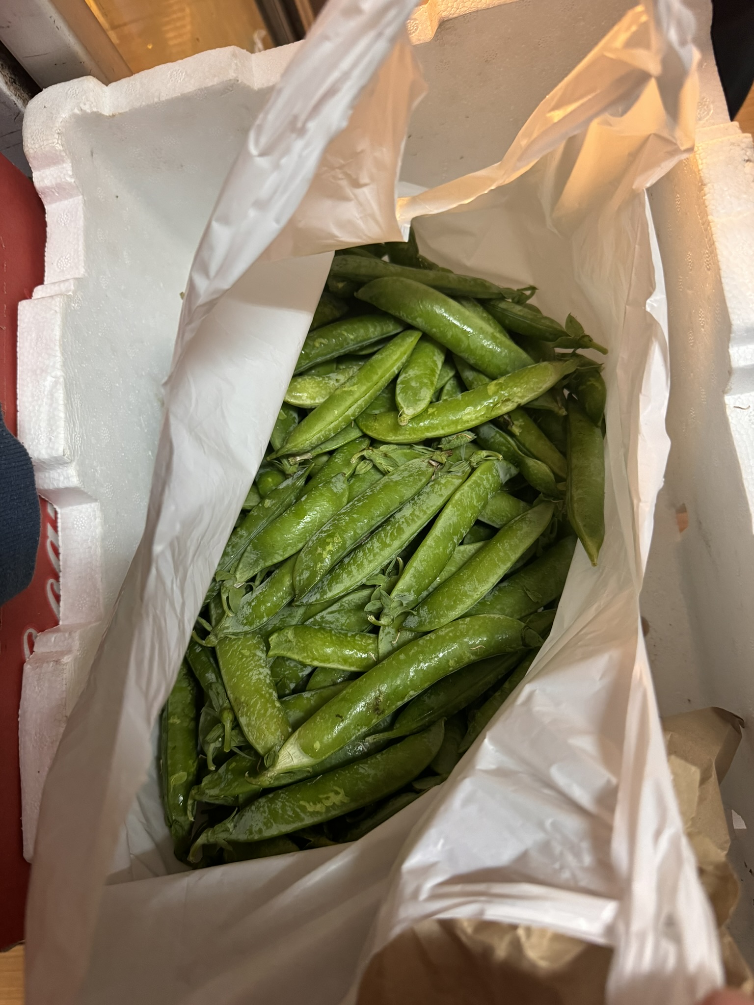 Peas in their pods
