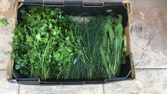 A box of fresh greens
