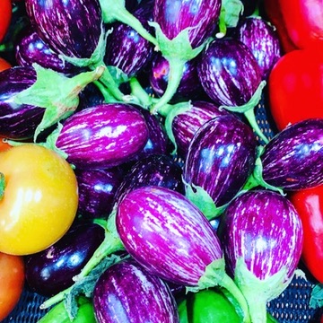 Colourful eggplants