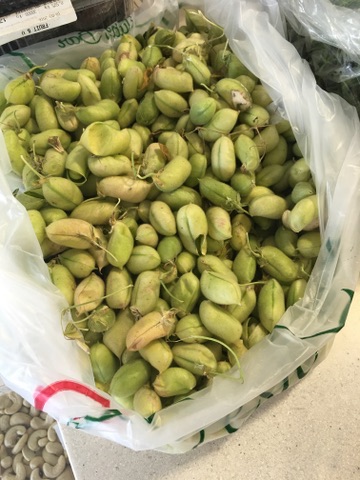 Fresh green chickpeas